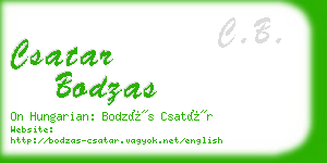 csatar bodzas business card